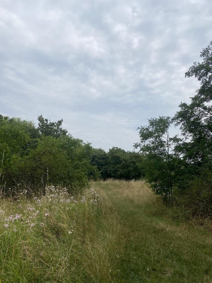 Prodej pozemek pro bydlení - Praha, 140 00