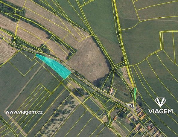 Zemědělské pozemky, Košík, okres Nymburk - 2