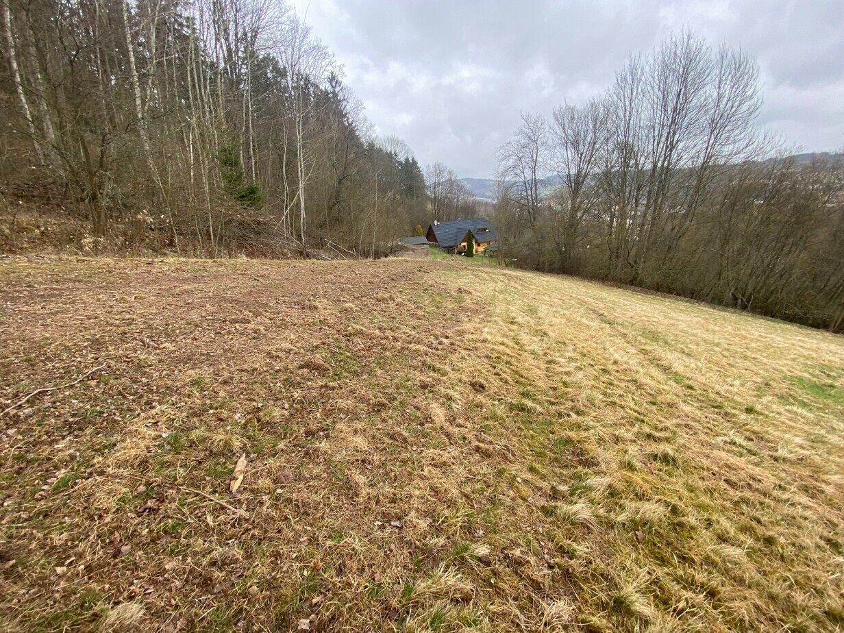 Zemědělský pozemek · 7 826 m² · Semily - 3