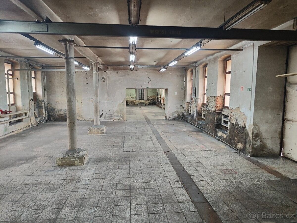 Pronájem ostatní - Březová nad Svitavou, 569 02 - 5