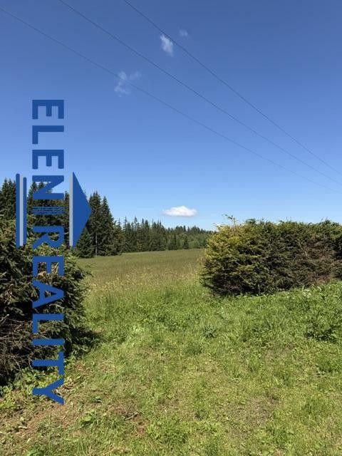 Pozemek · 451 m² · Rejvíz, Zlaté Hory - 4