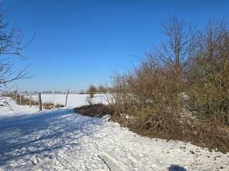 Pozemek pro bydlení · Ke Kalinovu mlýnu  , Ořech - 4