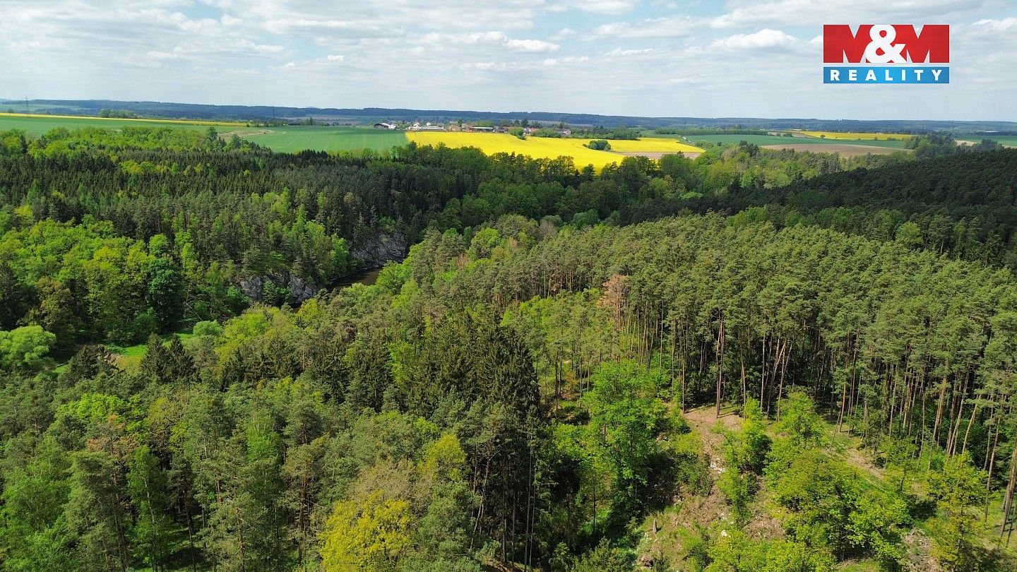 Les · Černýšovice, okres Tábor, Jihočeský kraj - 4