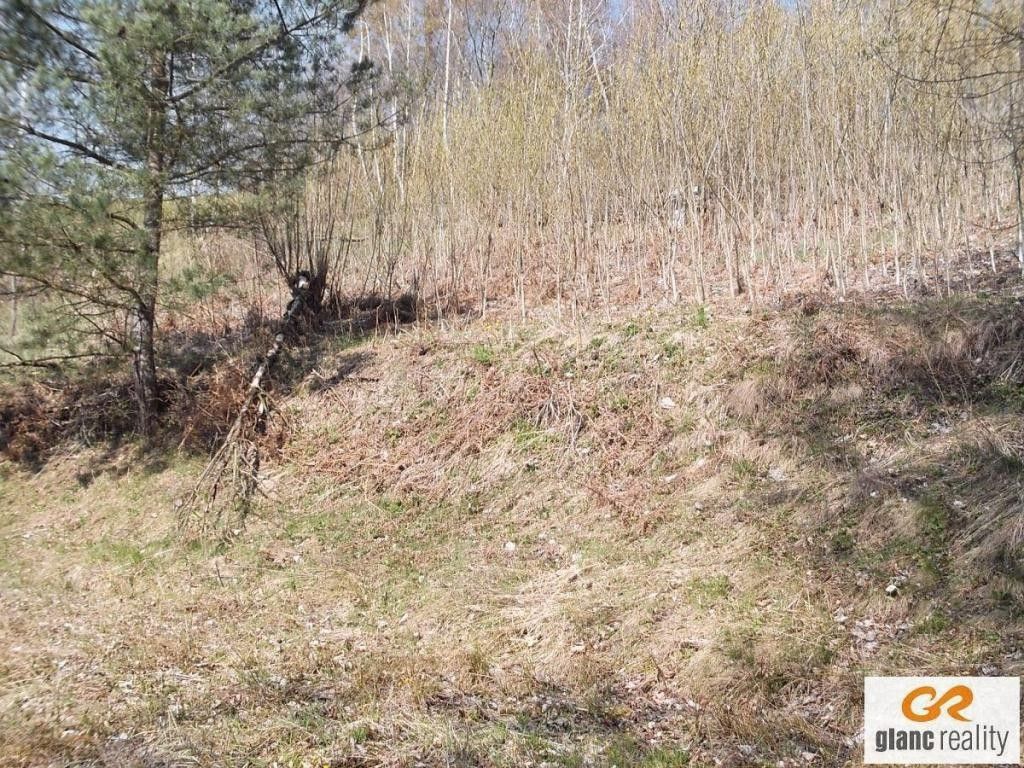 Prodej zahrada - Malá Bystřice, 2 062 m²