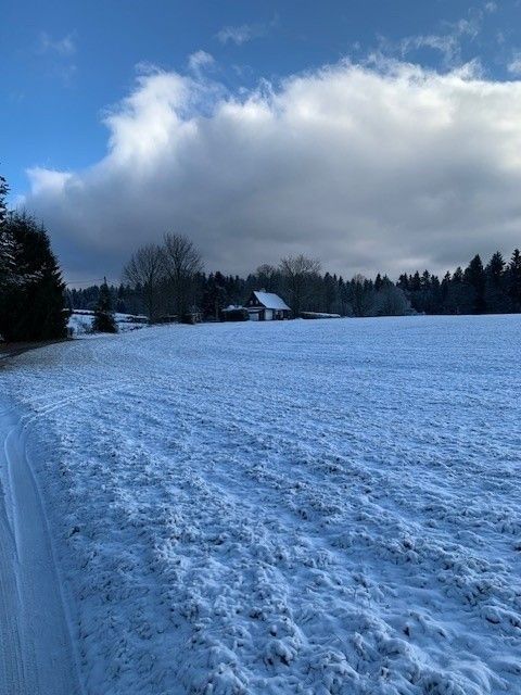 Pozemky pro bydlení, Svratka, 592 02