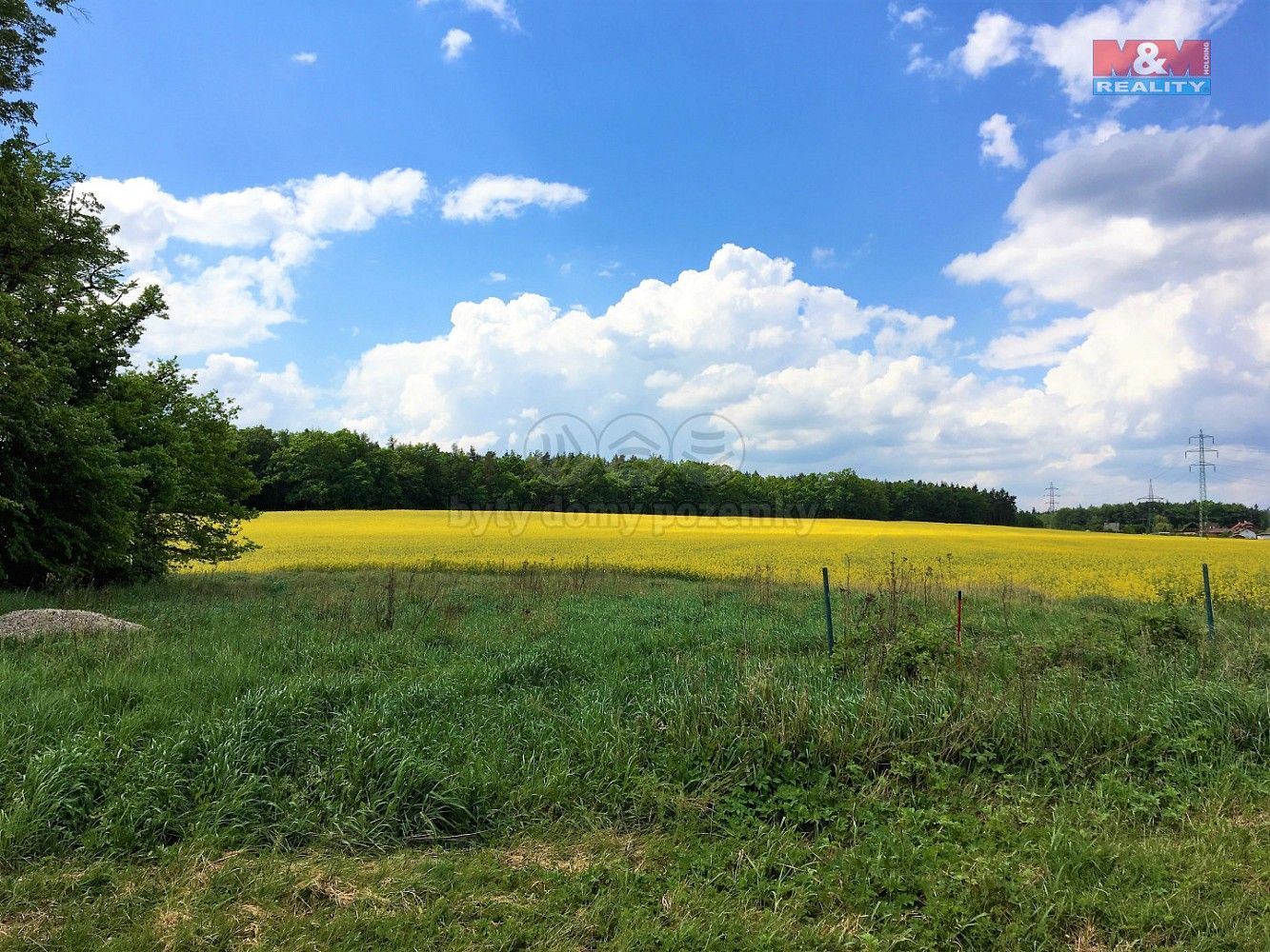 Zemědělský pozemek · Zruč-Senec, okres Plzeň-sever, Plzeňský kraj - 4