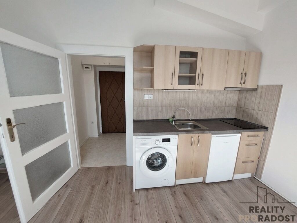 1+kk, Na mokřině, Praha Žižkov, 26 m² - 2