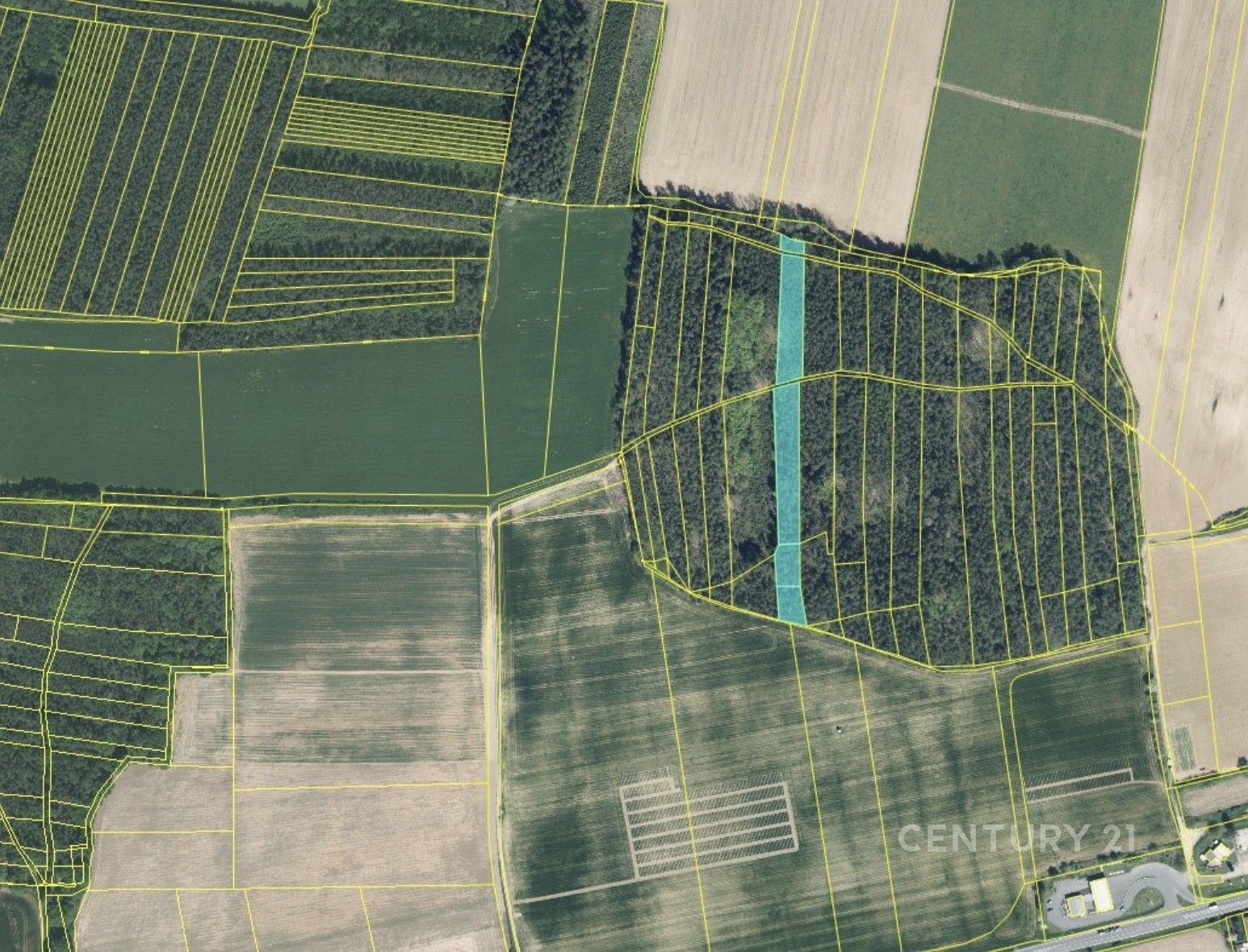 Les, 4 433 m²