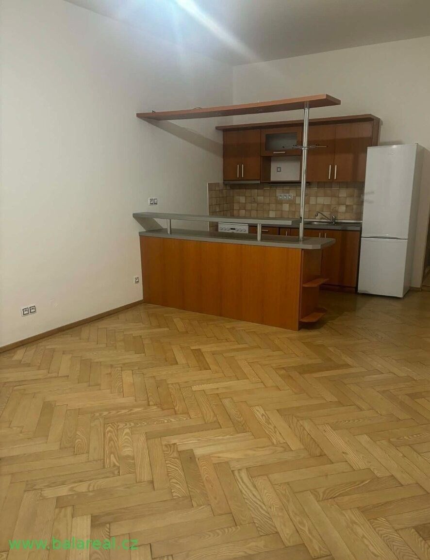 2+kk, Merhautova, Brno, 50 m²