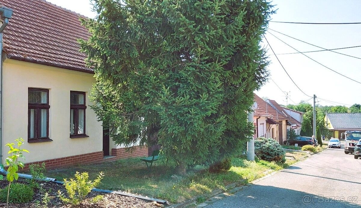 Rodinné domy, Přibice, 691 24 - 1