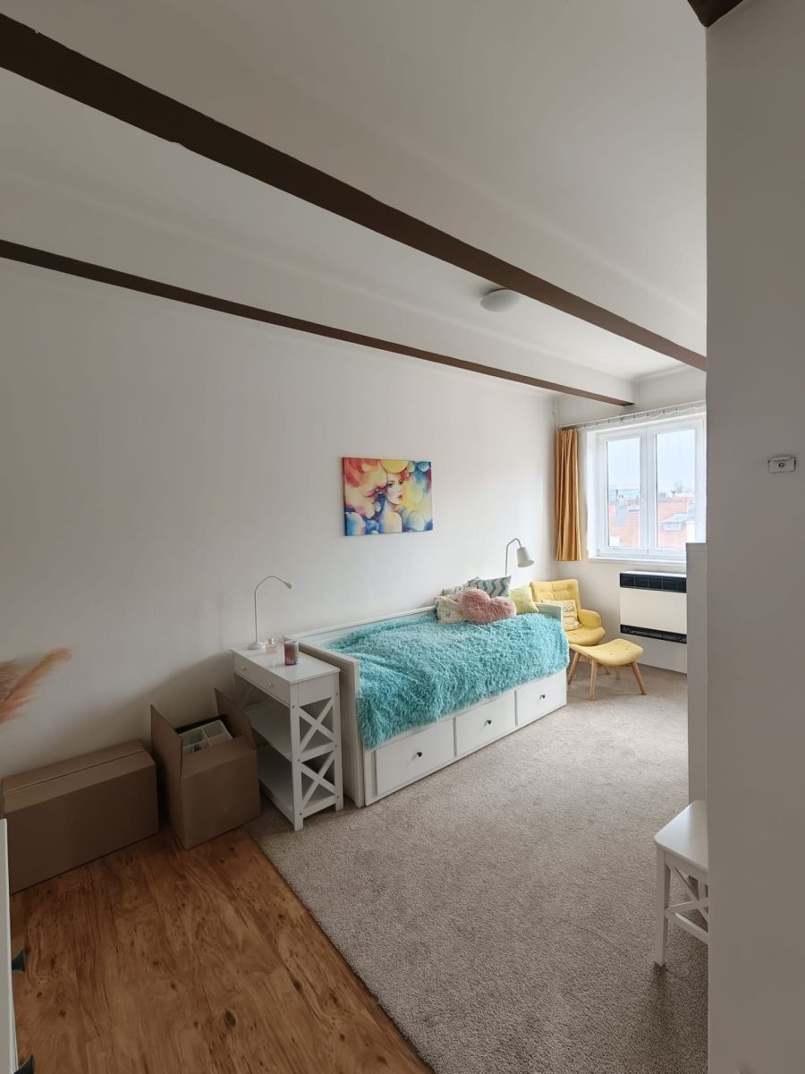 Byt 1+1 · 40 m² · V Horkách, Praha - Nusle - 4