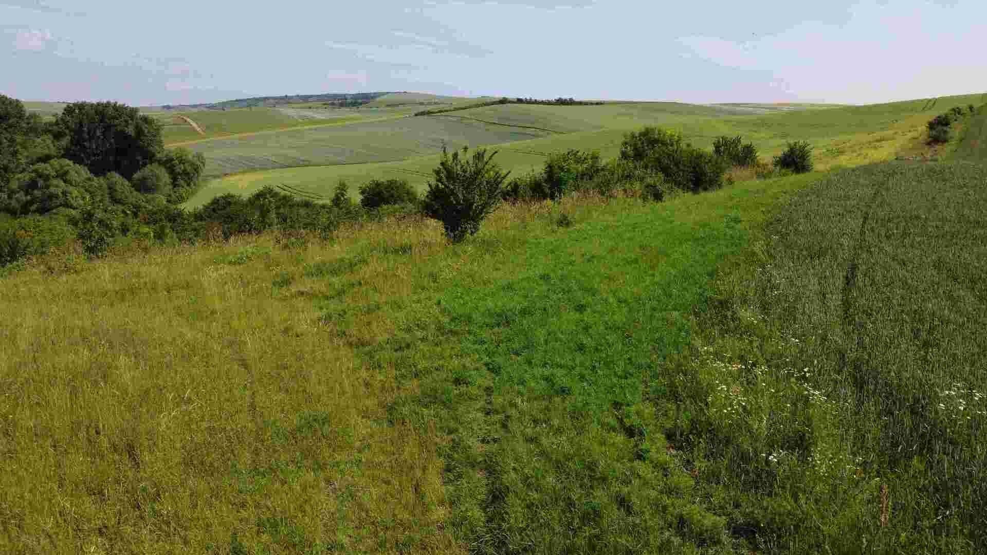 Zemědělský pozemek, 3 134 m²