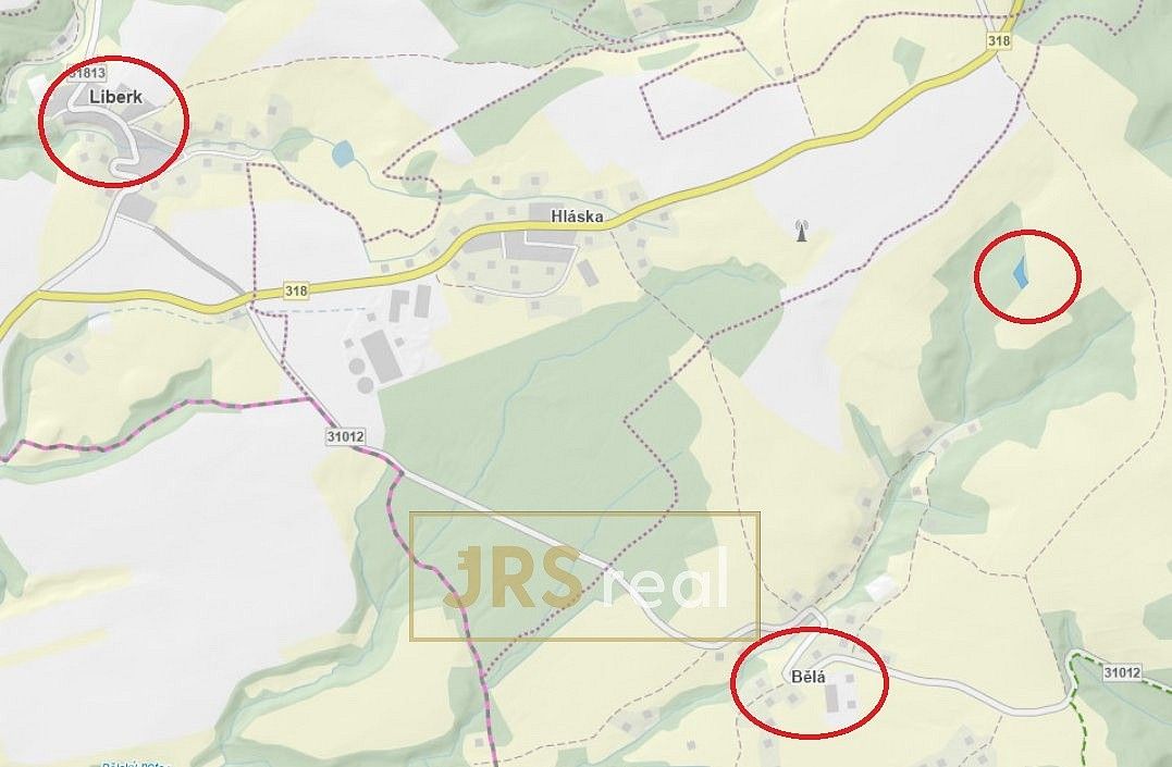 Les · Liberk, okres Rychnov nad Kněžnou, Královéhradecký kraj - 3