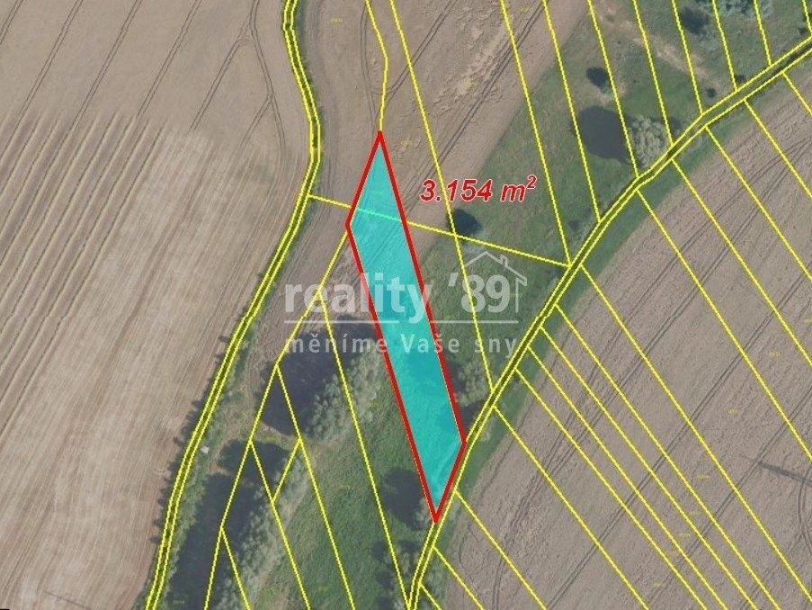 Prodej zemědělský pozemek - Jiřice, Kostelec nad Labem, 12 885 m²