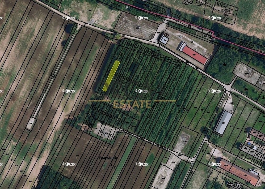 Ostatní, Kostice, okres Břeclav, Jihomoravský kraj - 2