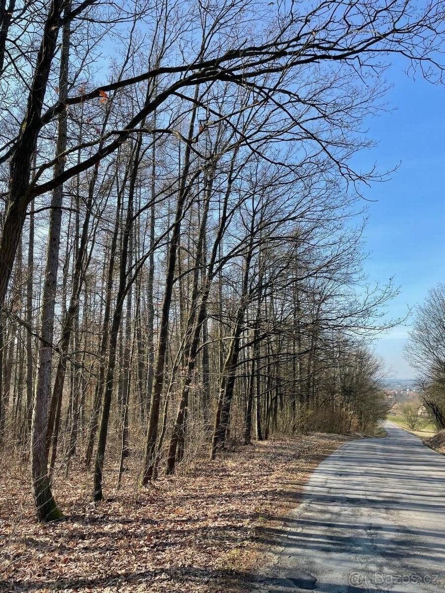 Pozemky pro bydlení, Holice v Čechách, 534 01