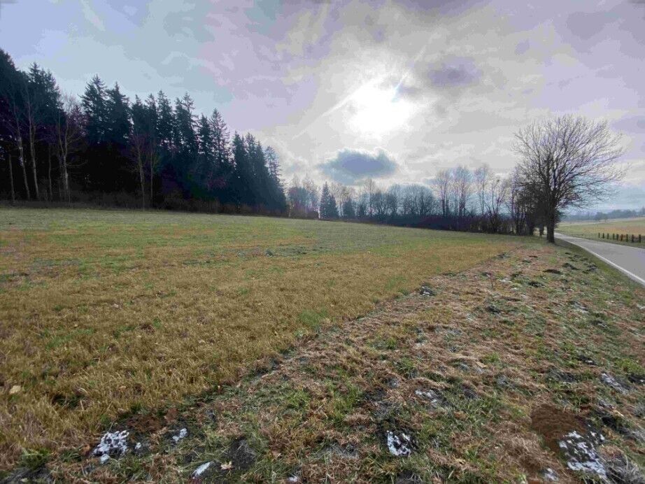 Zemědělský pozemek · 3 624 m² · Černá v Pošumaví Bližná - 4