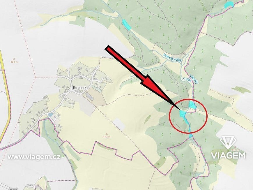 Les · Zbizuby, okres Kutná Hora, Středočeský kraj - 4