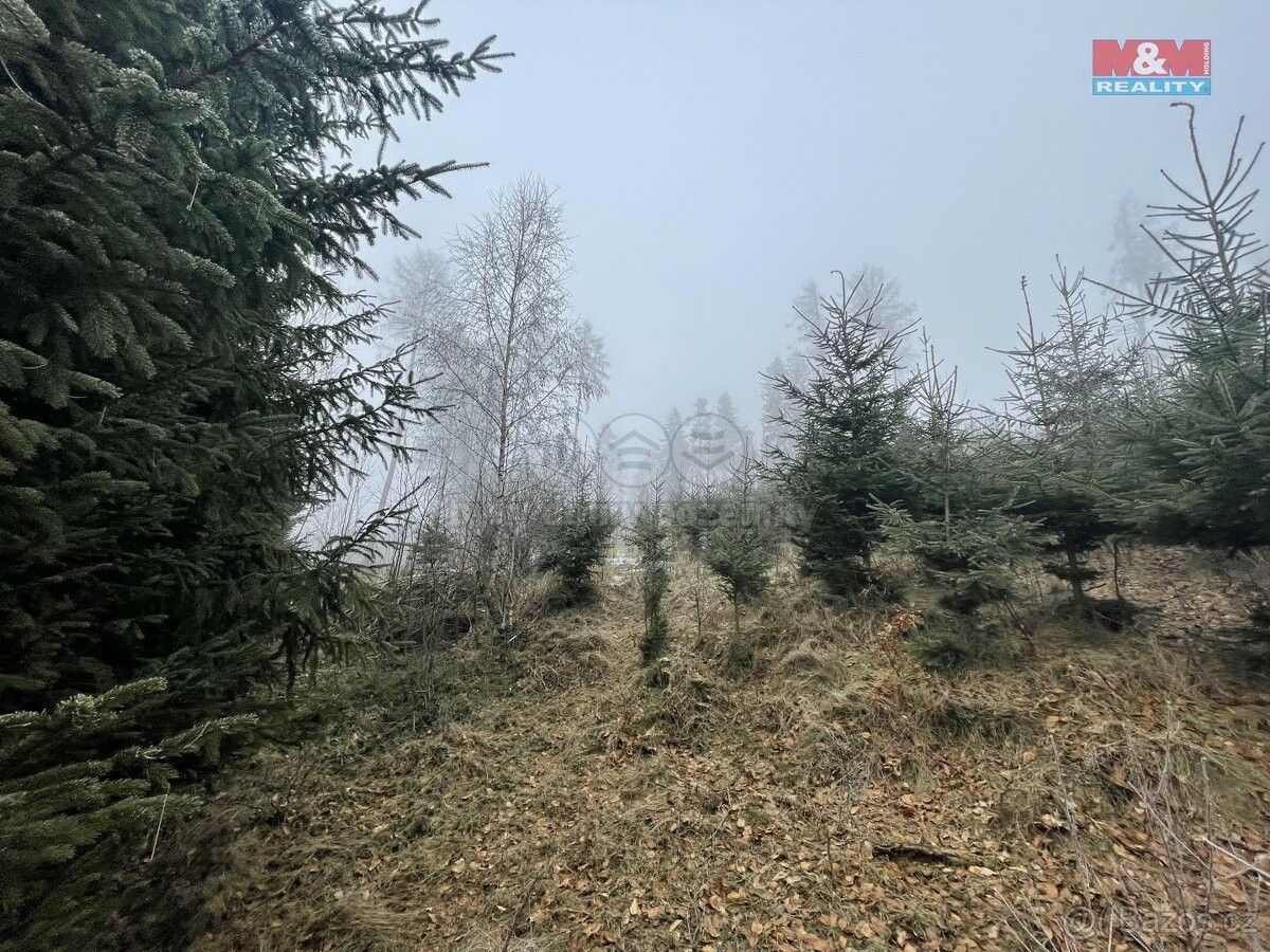 Lesy, Nová Paka, 509 01, 20 974 m²