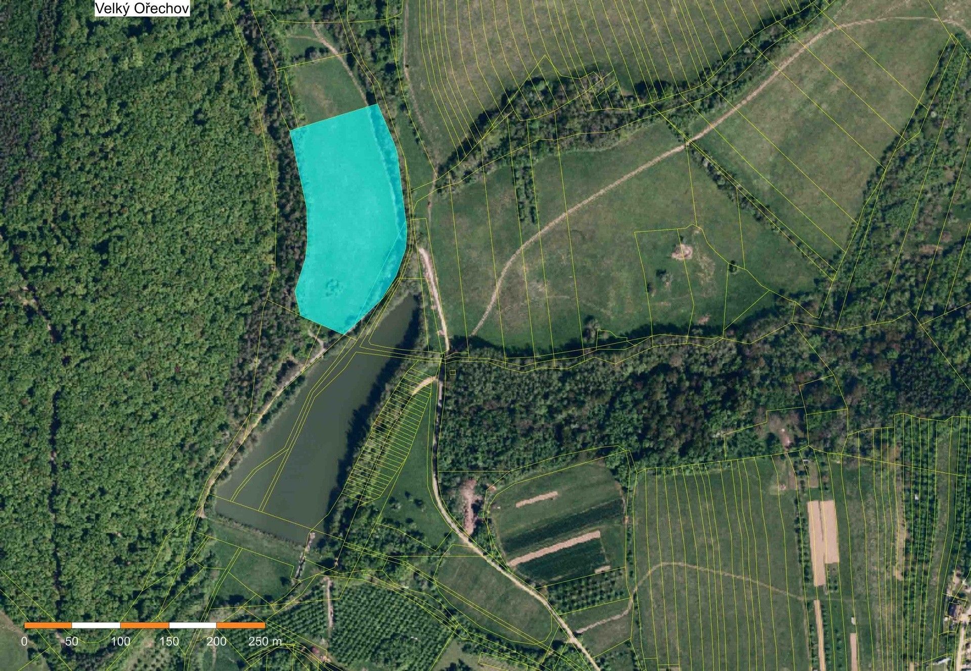 Louky, Velký Ořechov