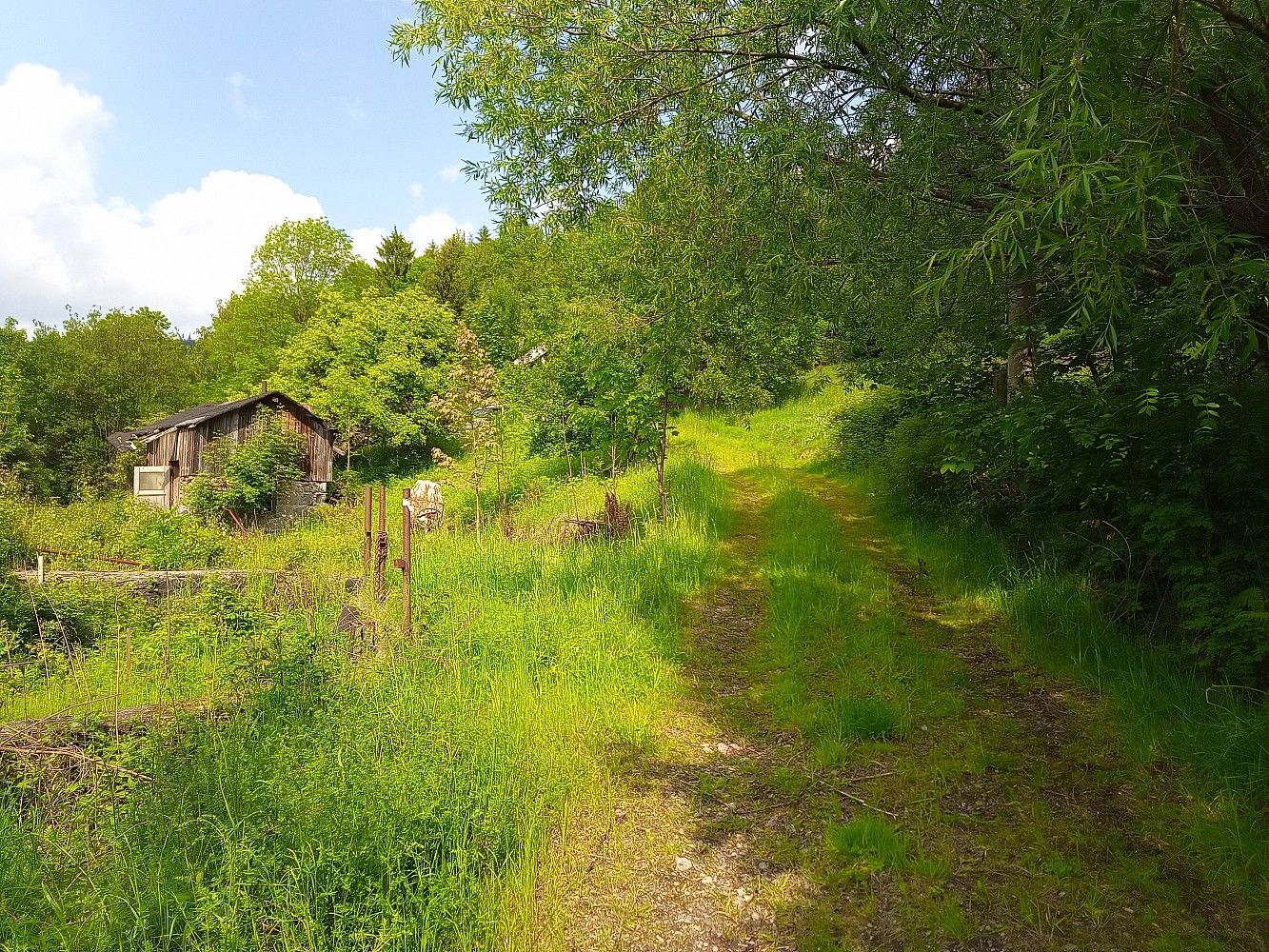 Prodej pozemek pro bydlení - Desná, okres Jablonec nad Nisou, Liberecký kraj - 5