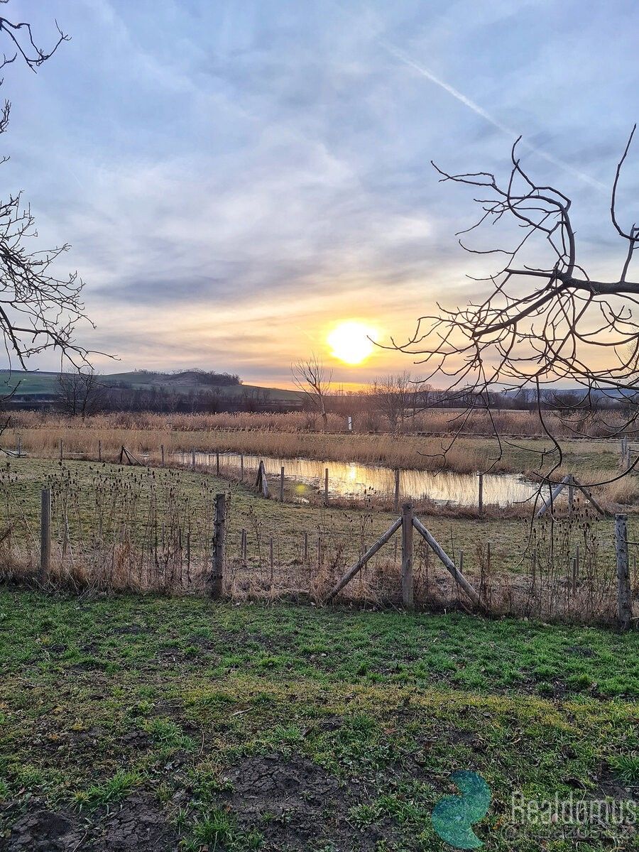 Rodinné domy, Čejč, 696 14