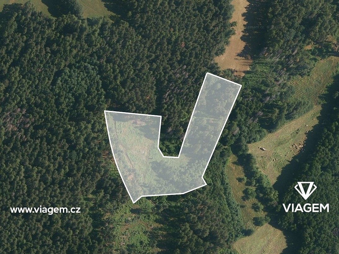 Lesy, Volyně, okres Strakonice, Jihočeský kraj - 2