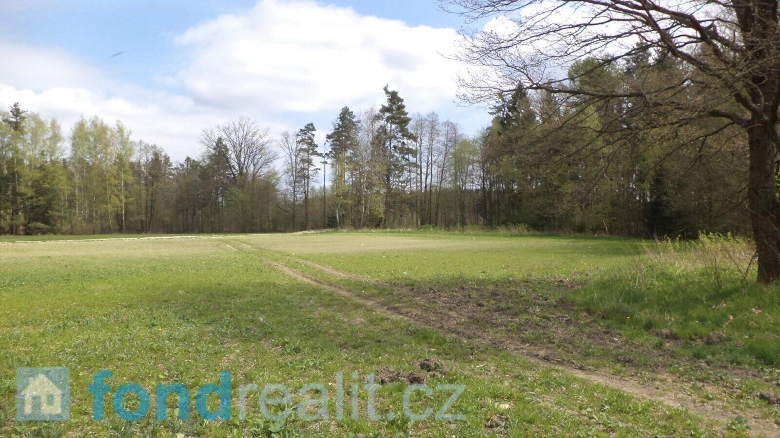 Pozemek · 6 528 m² · Stráž nad Nežárkou - 3