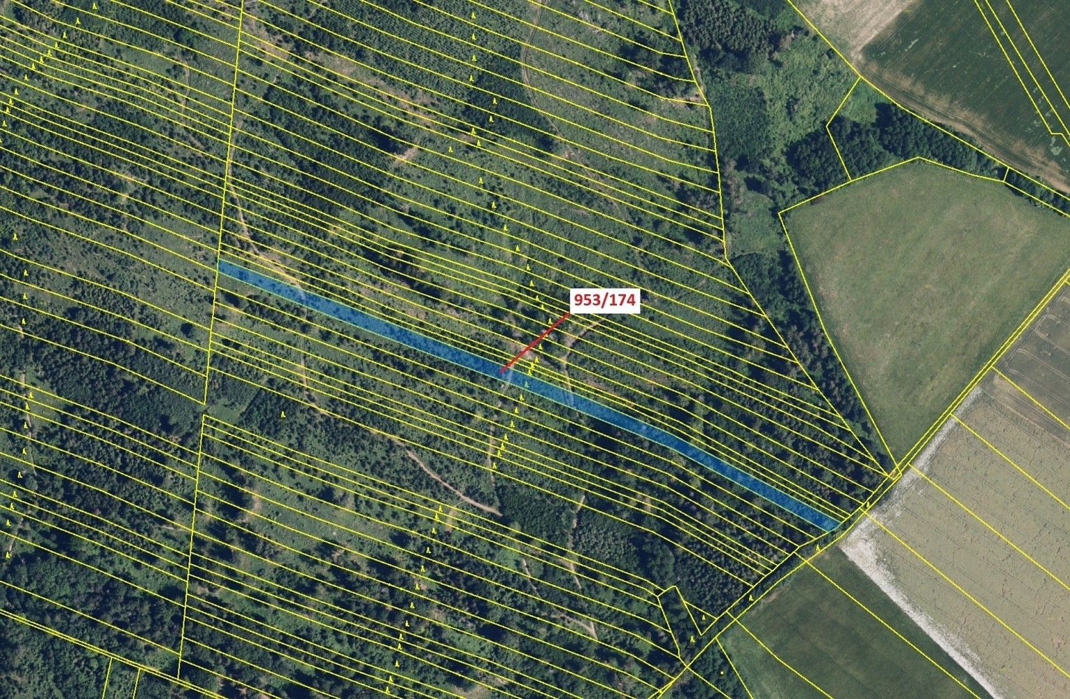 Prodej les - Lipinka, okres Olomouc, Olomoucký kraj - 2
