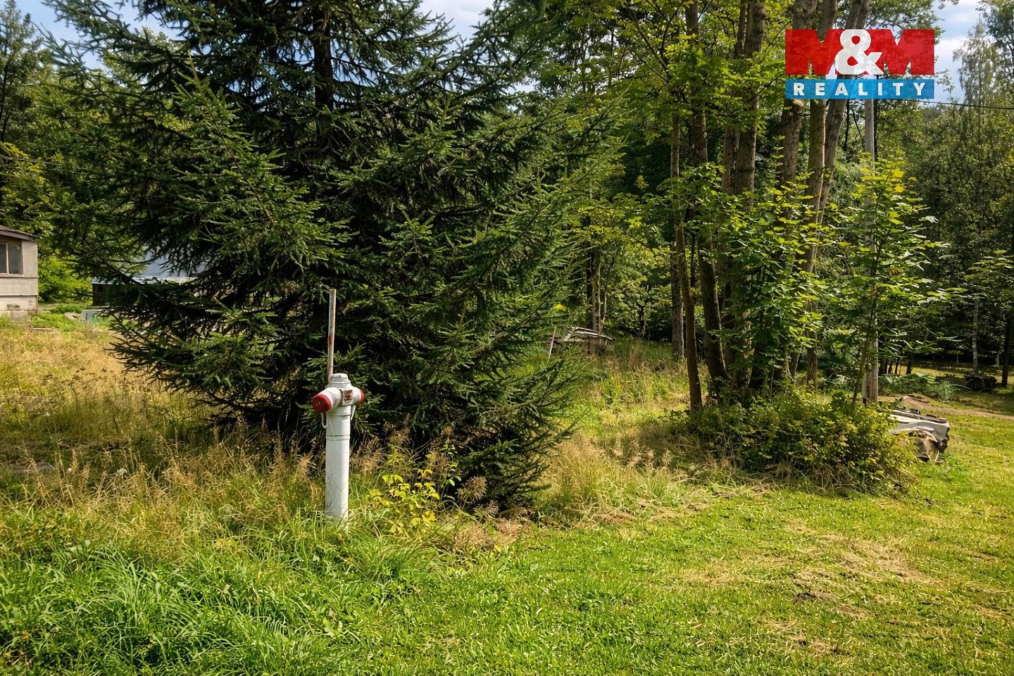 Zahrada · Tanvald - Šumburk nad Desnou, okres Jablonec nad Nisou, Liberecký kraj - 4