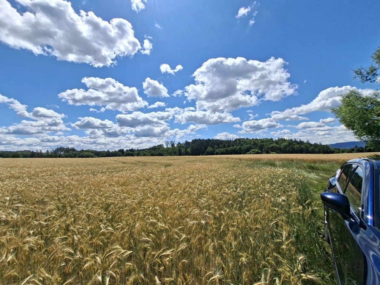 Zemědělské pozemky, Benešov, Broumov, 328 319 m² - 1