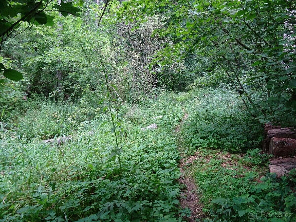 Pozemky pro bydlení, Dražice, 391 31