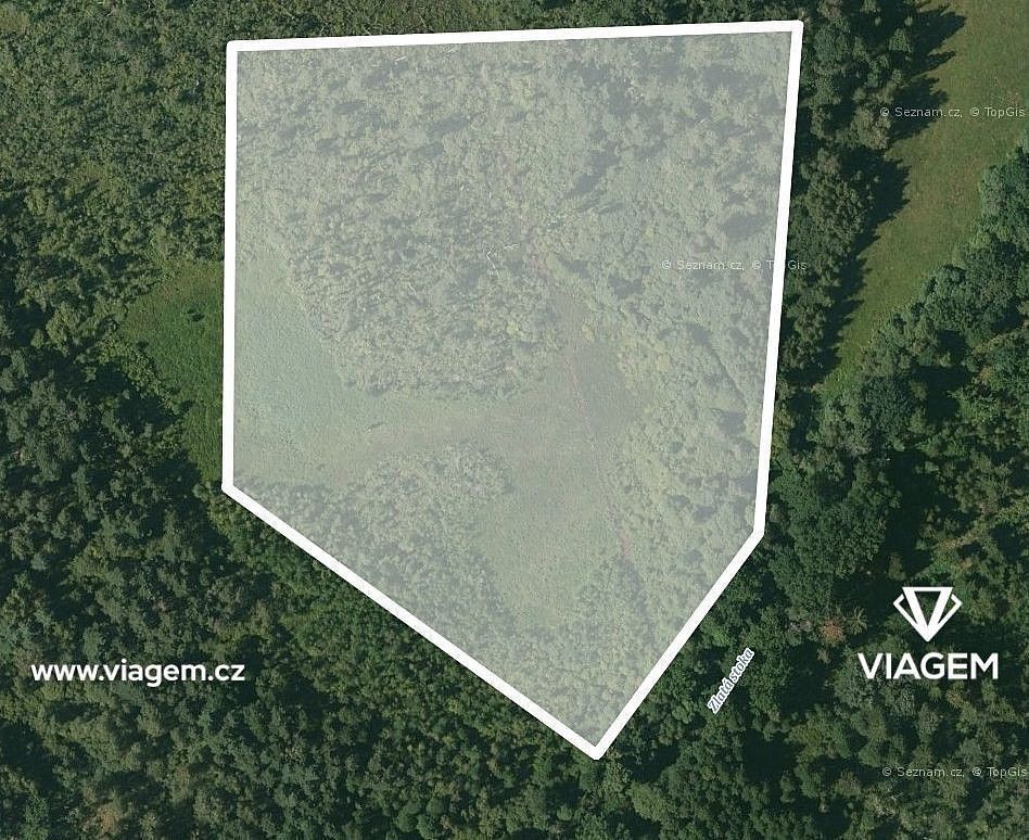 Prodej les - Veselí nad Lužnicí, okres Tábor, Jihočeský kraj - 2