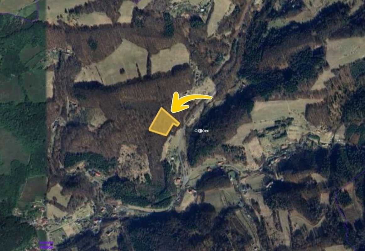 Prodej les - Vsetín, 10 836 m²