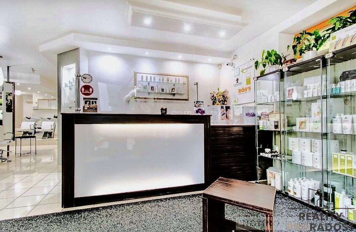 Obchodní prostory, Praha, 130 00