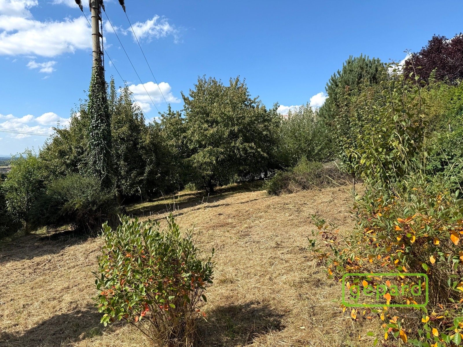 Zahrada · 770 m² · Samotišky - 4