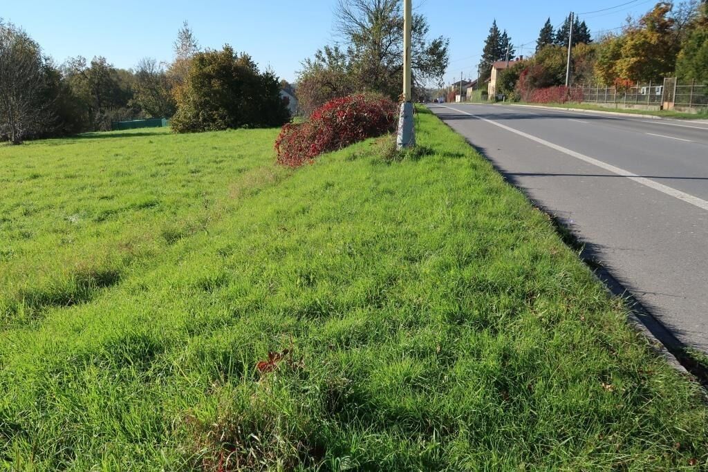 Ostatní, Orlovská , Havířov Dolní Suchá, 8 786 m² - 2