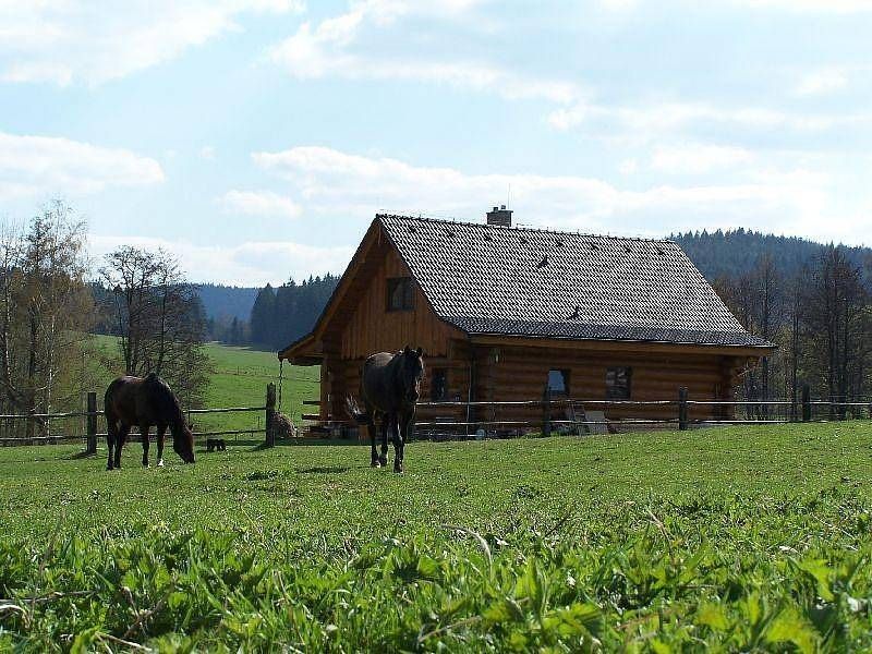 Chata · Benešov nad Černou - Hartunkov, Jihočeský kraj - 3