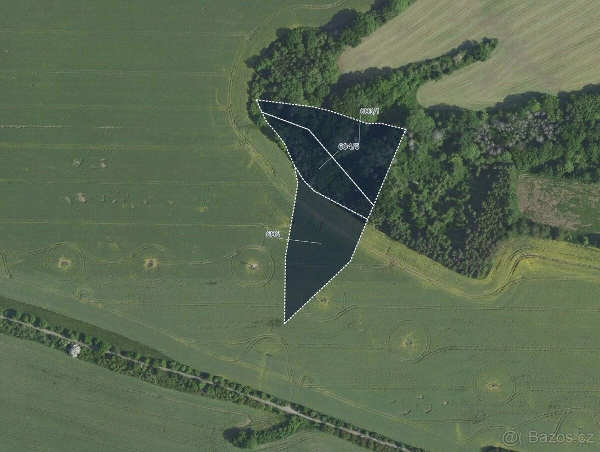 Prodej pozemek pro bydlení - Barchovice, 281 63