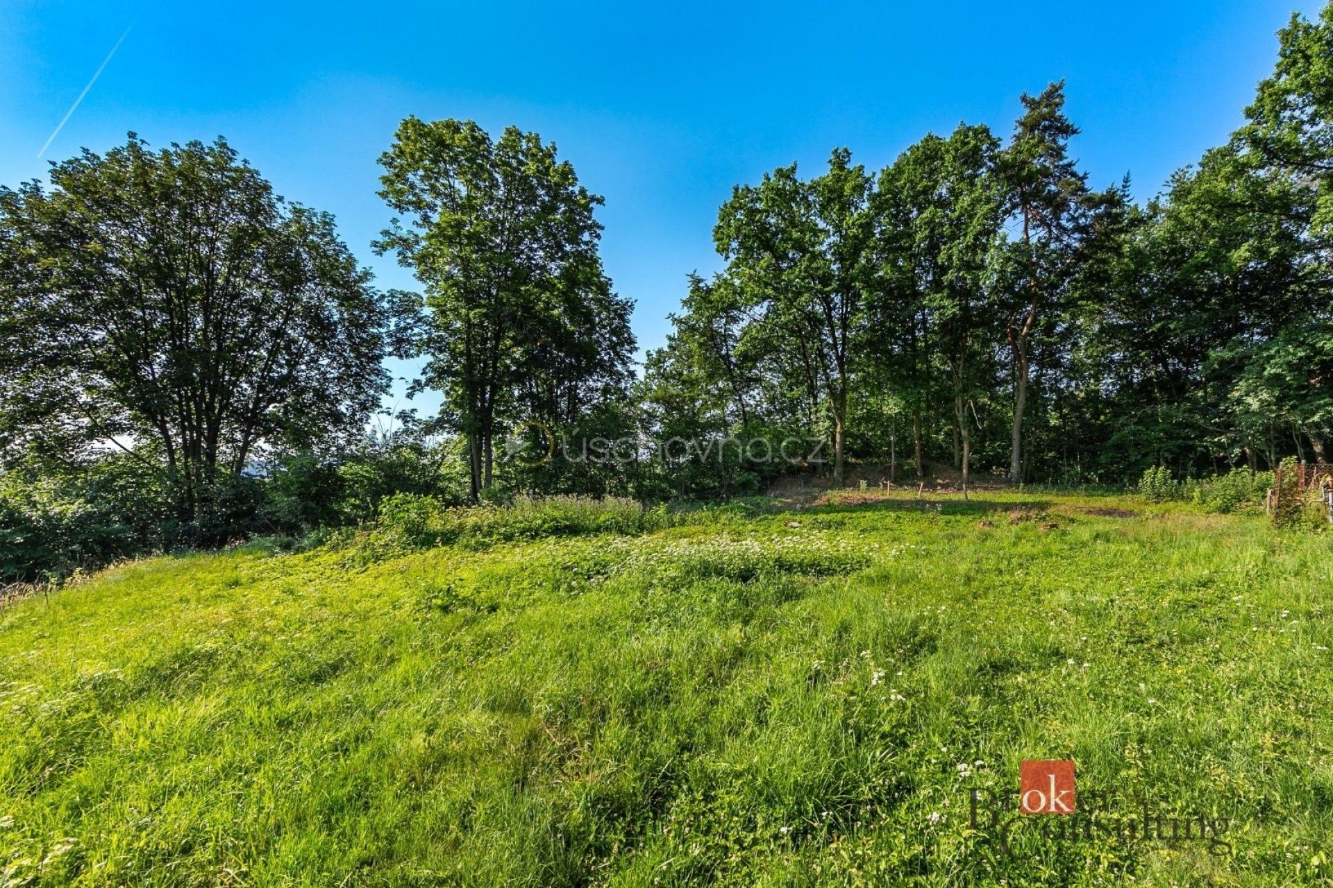 Ostatní, Plzeňská, Horšovský Týn, 1 256 m² - 2