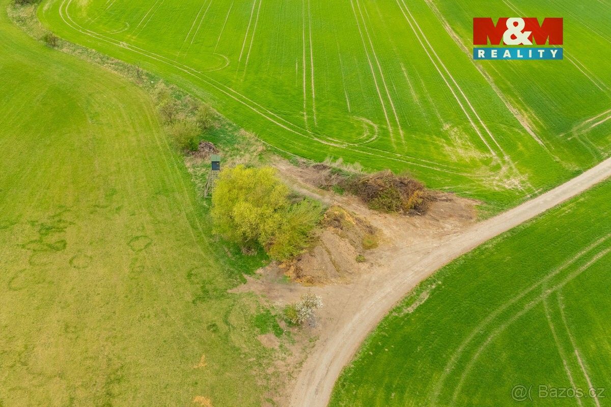 Prodej pozemek pro bydlení - Olešnice u Rychnova nad Kněžnou, 517 36