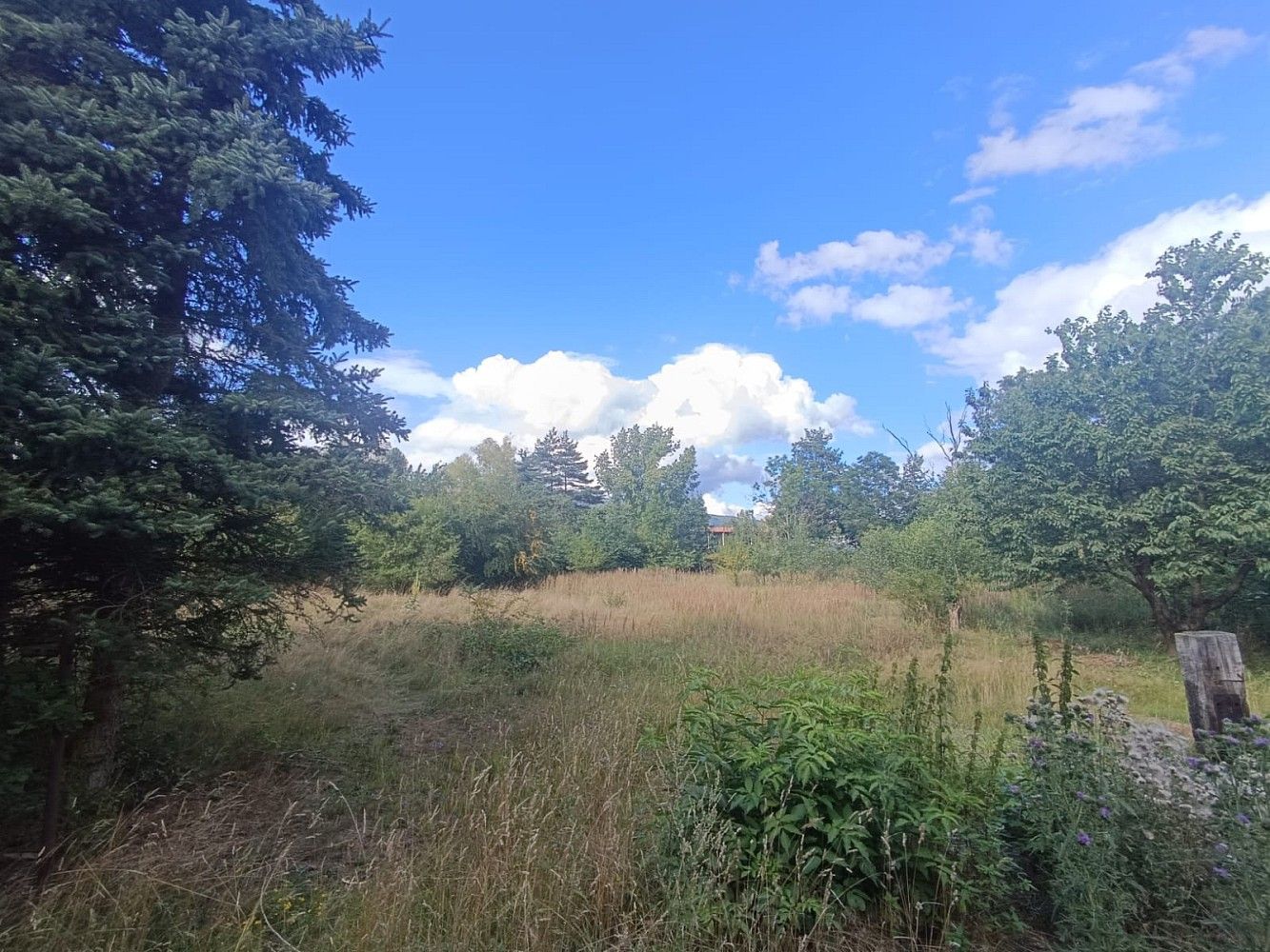 Pozemky pro bydlení, Proboštov, okres Teplice - 1