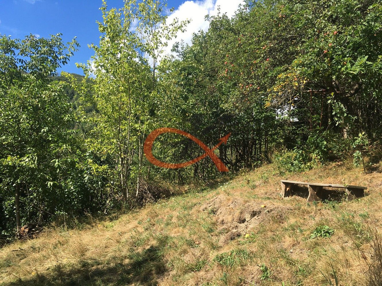 Prodej rodinný dům - Bačová, Rožnov pod Radhoštěm, okres Vsetín, 150 m² - 5