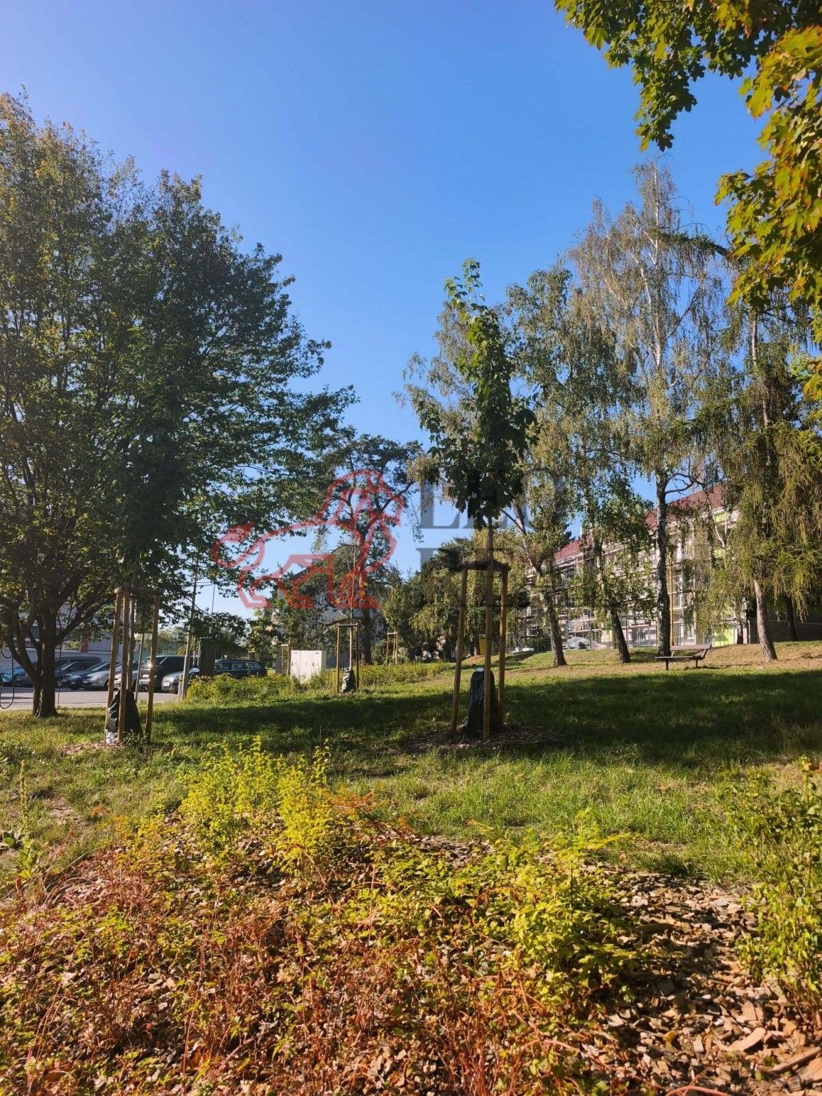 2+1, Husova, Náměšť nad Oslavou, 57 m²