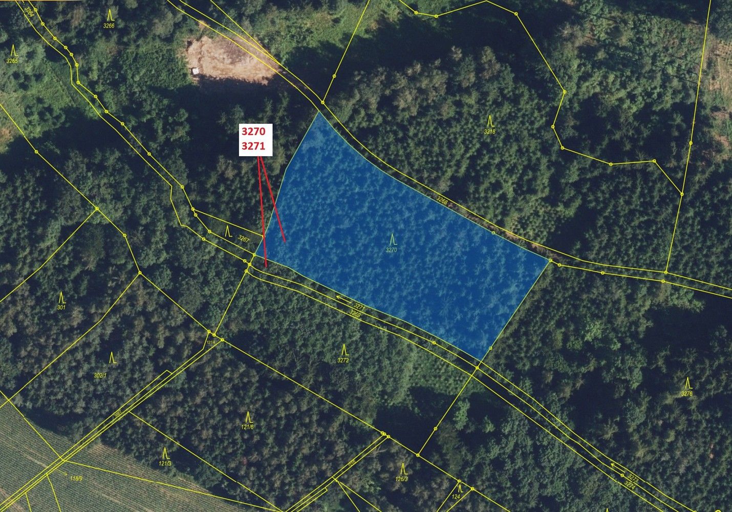 Prodej les - Svatý Jiří, okres Ústí nad Orlicí, Pardubický kraj - 2