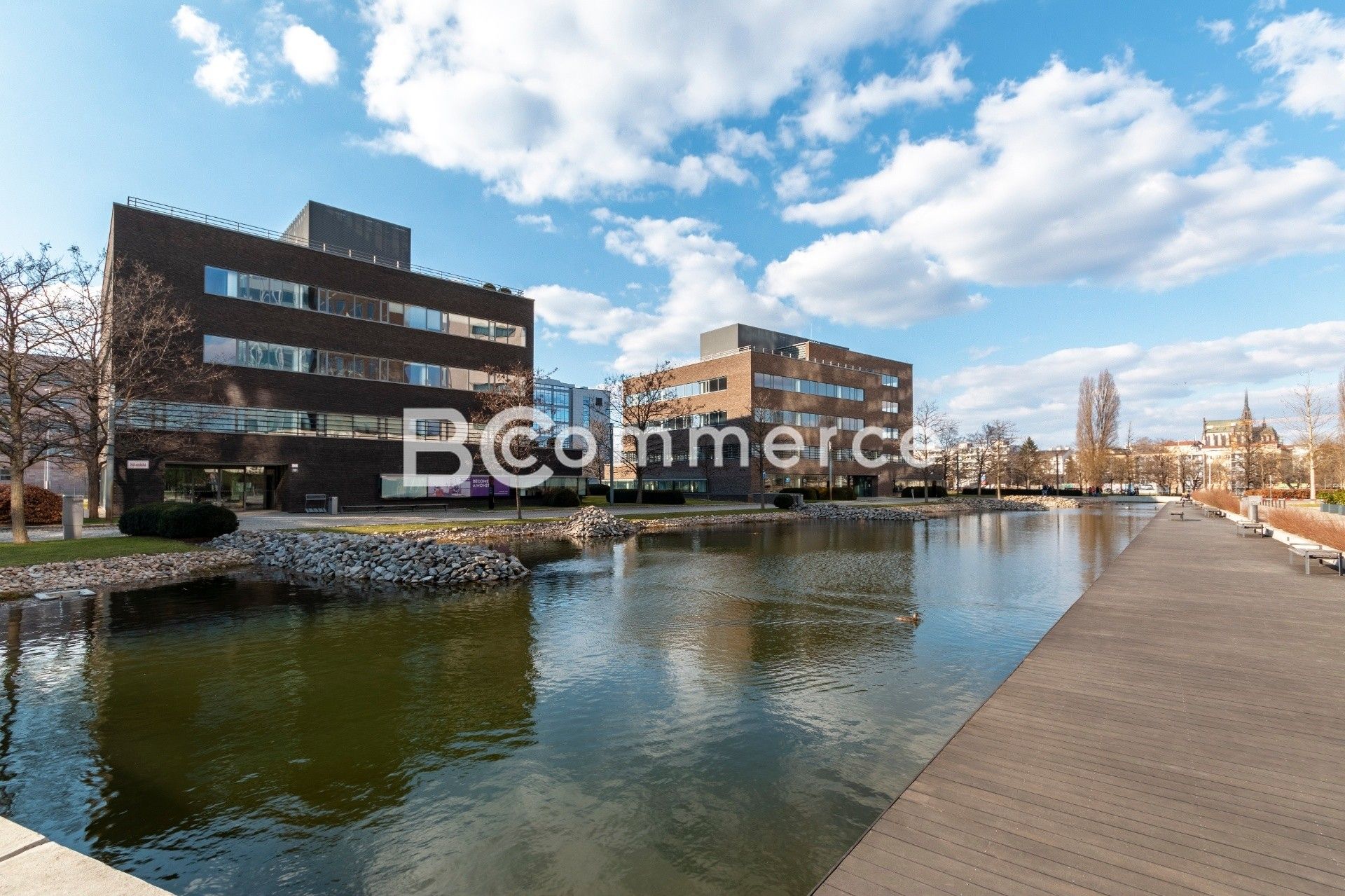 Kanceláře, Štýřice, Brno, 936 m²