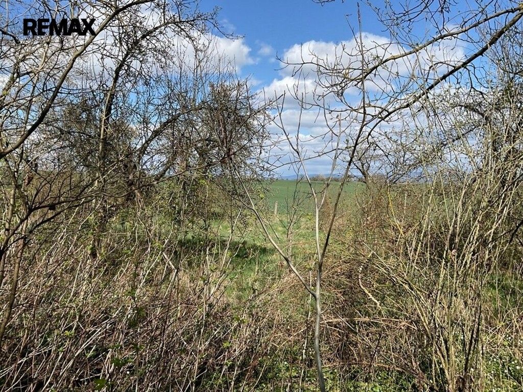 Pozemek pro bydlení · 3 131 m² · Lično - 4