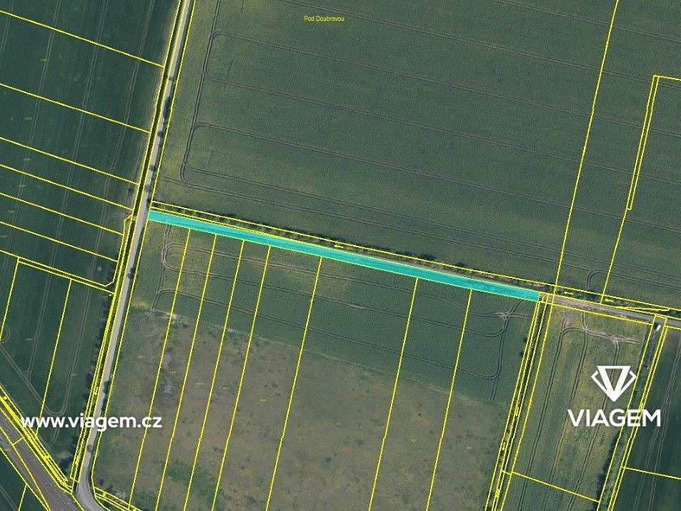 Prodej zemědělský pozemek - Dobrovice, okres Mladá Boleslav - 5