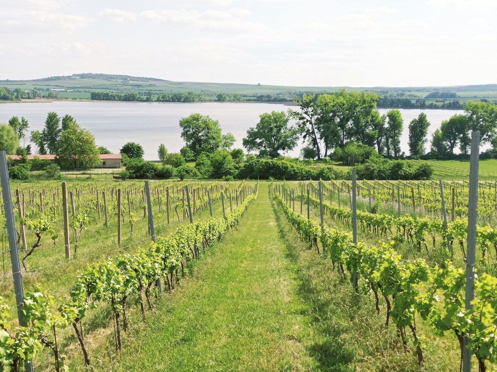 Prodej pozemek - Sedlec, 21 m²