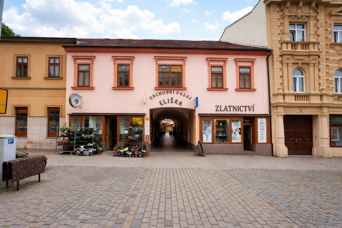 Obchodní prostory, Židlochovice, 667 01